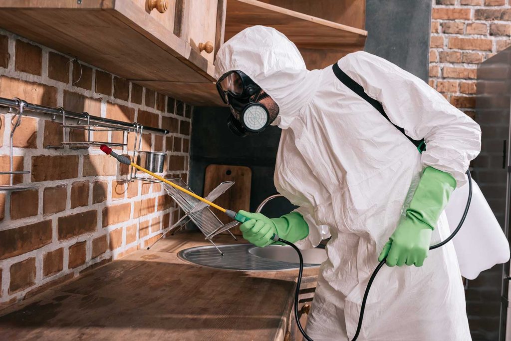 مكافحة النمل الأبيض (تأمين العقارات)